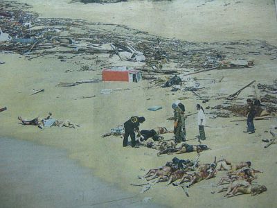 Bloated bodies on Khao Lak Beach, from the Bangkok Post, 29 Dec 2004