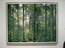 Paradise 19 (Bavarian Forest new Zweisel, 1999)