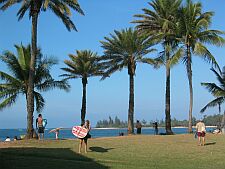 surfers at Haleiwa on the North Shore